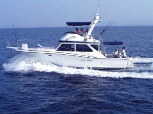  Sayulita fishing boats