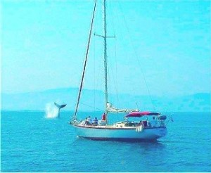 Sayulita sailing charters
