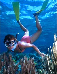 Sayulita snorkeling trips