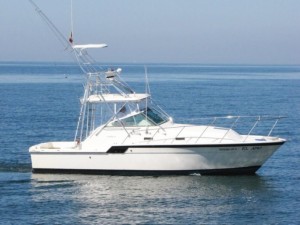 puerto vallarta fishing charters