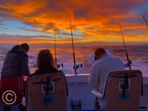 big fish in Sayulita fishing