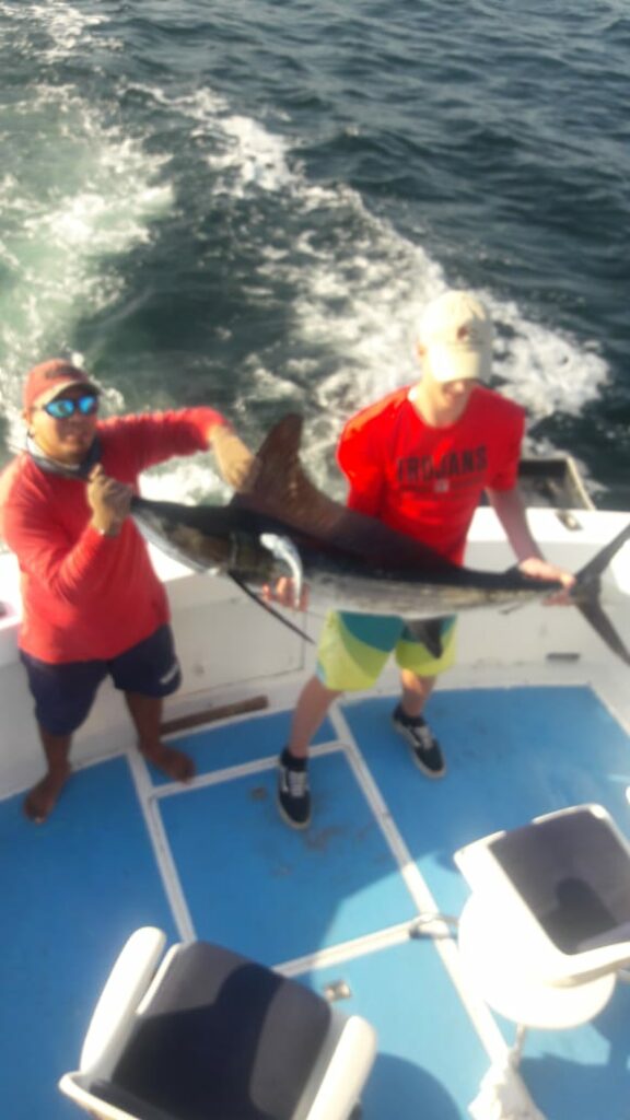 Sayulita marlin action in the summer months.