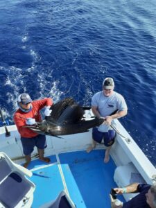 fishing for sailfish in Sayulita