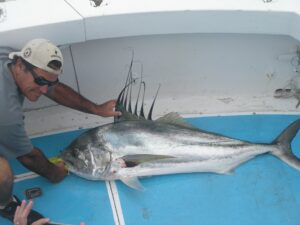 roosterfish in Sayulita, Mexico