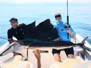 Sayulita sailfish action