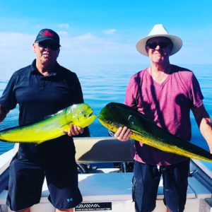 roosterfish in Sayulita