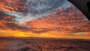 Sayulita fishing reservations