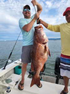 snapper fishing in Sayulita