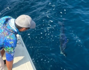 fishing for marlin and tuna in Sayulita