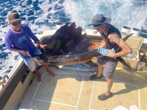 fishing report Sayulita