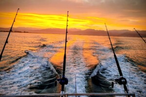 Sayulita dee sea fishing charters March 2026