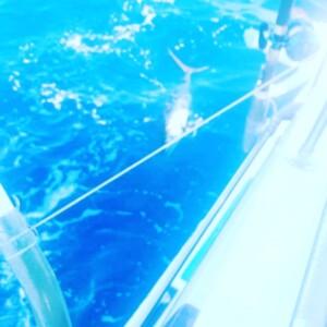 fishing charters in Sayulita