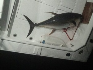 Sayulita fishing for tuna